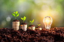 Growing Money - Plants On Coins - Money And Investment Concepts. Growing Money In Soil, Success, Creative Light Bulb Idea, Power Energy Or Business Idea Concept Ecology, Loan, Mortgage,