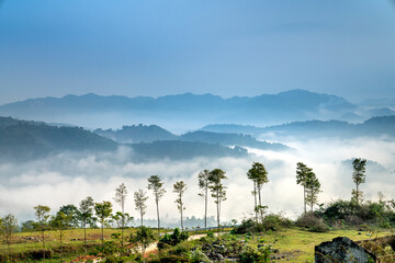 Wall Mural - Magical scenery in valley on fog in morning at Sapa, Vietnam