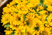Sunflowers Selling