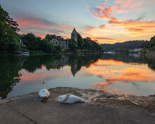 Swans Perching At Ile Barbe Against Sky During Sunset