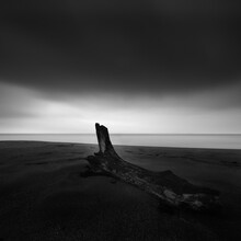 Long Exposure Of Tree On The Beach And Dramatic Sky In Inamuragasaki