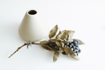 Dried flowers  on white background