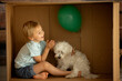 Cute toddler child and maltese pet dog, hiding in cardboard box, playing
