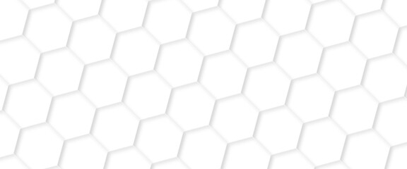 abstract geometric hexagon white and gray color background. computer digital drawing. white backgrou