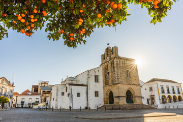 downtown of faro with se cathedral in the morning with orange tree in the foreground, portugal