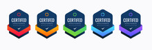 Certified Badge Design For Hacking Practitioner. Professional Computer Security Certifications Based On Criteria.