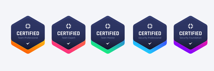 list of computer security certifications organizations badge design base on criteria. vector illustr