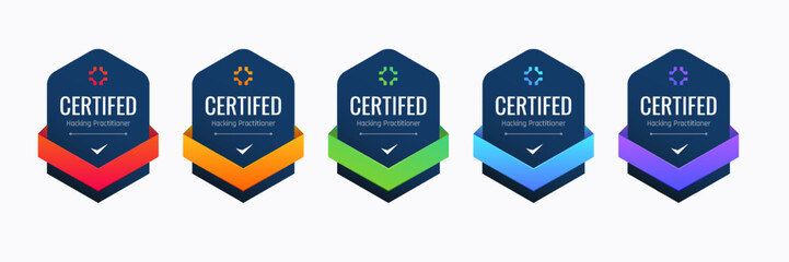 certified badge design for hacking practitioner. professional computer security certifications based