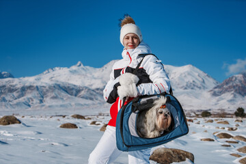 Wall Mural - Young woman traveling with shih tzu dog in bag on winter mountains background