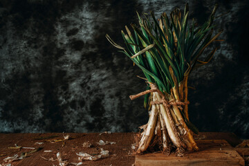 Wall Mural - bunch of raw calcots, typical of Catalonia, Spain