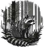 Fototapeta Konie - Raccoon on the edge of the forest. Monochrome drawing.
