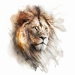 Beautiful majestic lion head portratit on white background. illustration painting, grunge stylw. Generative Ai