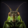 Katydid (bush cricket) as animal studio portrait (Generative AI)