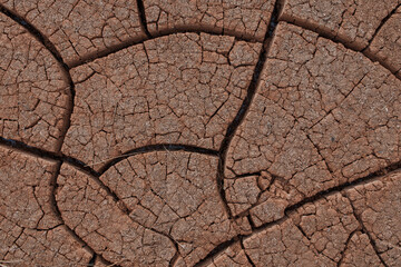 Cracked ground in desert texture or background