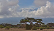 view of mount kilimanjaro showing snow capped uhuru peak from amboseli national park, kenya