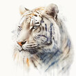 white siberian tiger watercolour portrait