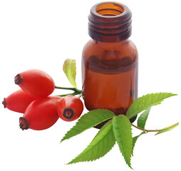 Poster - Medicinal Rose hips with essential oil in a glass bottle