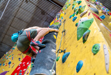 Artificial Climbing Wall With Grips And Carabiners In The Interior