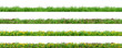 Various borders of green grass, dandelions and clovers, isolated on transparent background. 3D render.