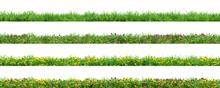 Various Borders Of Green Grass, Dandelions And Clovers, Isolated On Transparent Background. 3D Render.
