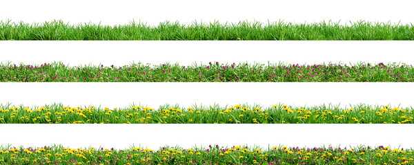 Various borders of green grass, dandelions and clovers, isolated on transparent background. 3D render.