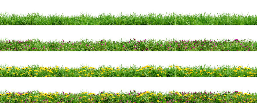 various borders of green grass, dandelions and clovers, isolated on transparent background. 3d rende