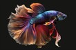 © Jorge Ferreiro - illustration, cute and colorful betta fish with a beautiful long tail, ai generative