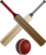 Cricket Bats and Ball Illustration