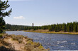 Scenic view of Yellowstone National Park's water and trees
