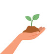 © solthanya - Hand holding a plant for environmental protection, environment day concept,