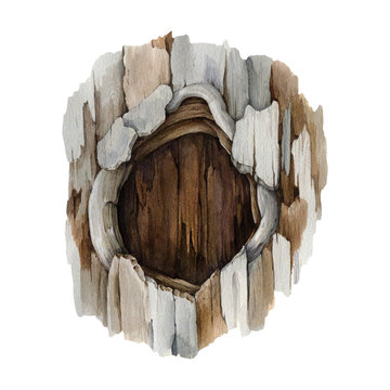 tree trunk with a hole. watercolor illustration. hand drawn hollow timber. realistic hollow tree tru