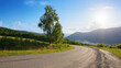 © Pellinni - as the sun rises, a mystical fog blankets the countryside, shrouding the road in mystery. tranquil scenery of rolling hills and grassy fields is interrupted only by majestic mountains