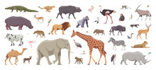 Flat Set Of Africans Animals. Isolated Animals On White Background. Vector Illustration