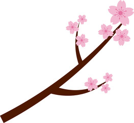 Poster - Beautiful pink Sakura Cherry Blossom illustration.