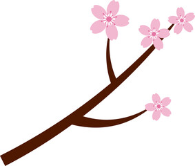 Poster - Beautiful pink Sakura Cherry Blossom illustration.