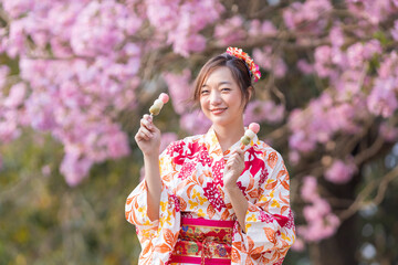 Japanese woman in traditional kimono dress holding sweet hanami dango dessert while walking in the park at cherry blossom tree during spring sakura festival with copy space