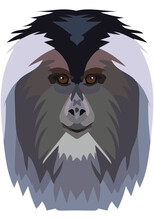 Lion-tailed Macaque. The Face Of The Monkey Is Depicted In Vector Style. A Vivid Image Of A Primate. Logo, Illustration On A White Background.
