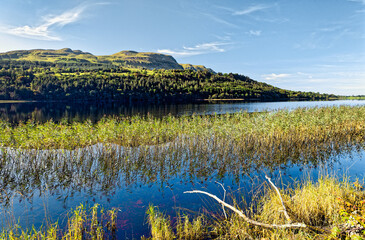 Glencar Lough S.E. of Benbulbin, Co. Sligo, Ireland. Looking southwest to Copes Mountain through reeds on north shore. Late summer. Yeats Country