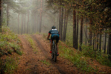 Back Athlete Cyclist Riding Mountain Bike On Forest Trail. Misty And Mysterious Woodland. Cross-country Cycling Race