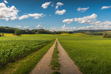Rural Landscape In Summer With Dirt Road And Fields, Blue Sky With White Clouds, Canton Thurgau, Switzerland