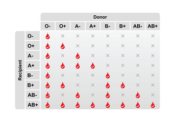 abo blood compatibility chart concept design. vector illustration.