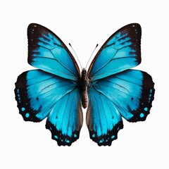 Wall Mural - Beautiful blue butterfly, top view. Watercolor illustration of a blue butterfly isolated on white background. Generative AI art.