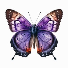Beautiful Purple Butterfly, Top View. Watercolor Illustration Of A Violet Butterfly Isolated On White Background. Generative AI Art.