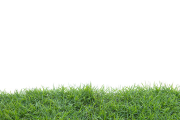 Sticker - Grass isolated on white background. Clipping path.