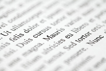 Lorem Ipsum on printed on paper, project, inscription, note, middle of text on diagonal, selective focus