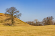 Sunny view of the Cahokia Mounds State Historic Site