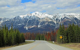 Fototapeta Góry - Scenic road 93 - Canada