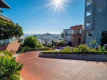 San Francisco Panorama Bird View To Curved Lombard Street