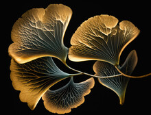 Ginkgo Biloba Golden Leaves Dark Background Created With Generative AI Technology