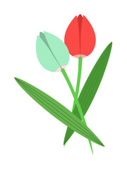 Sticker - Tulip flowers red and white color icon